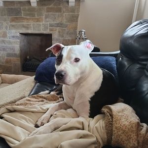 Meet your Posher, Christine